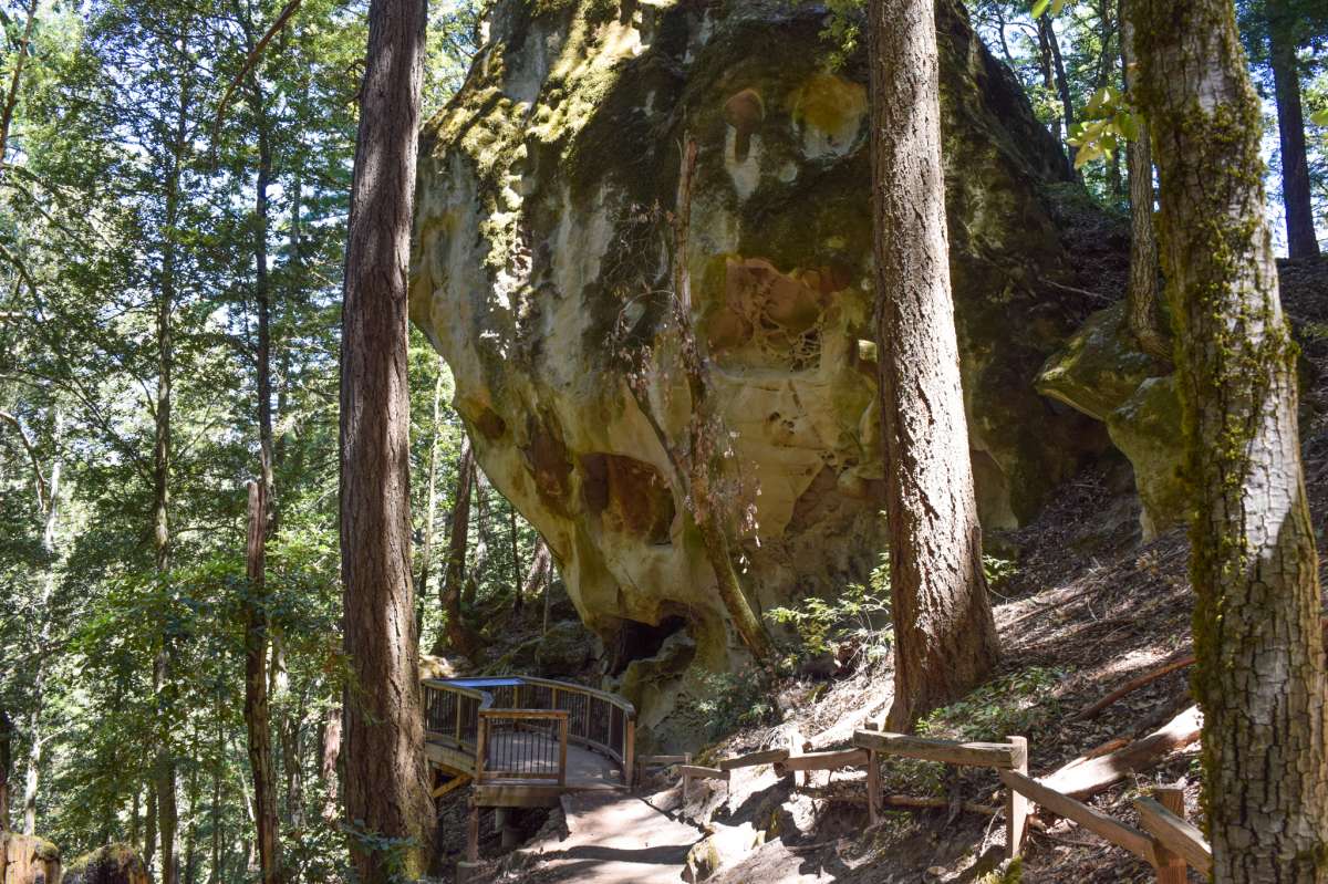 La arenisca tafoniLa formación está ubicada en El Corte de Madera Creek Preserve, aproximadamente a una hora al sur de San Francisco en Redwood City.