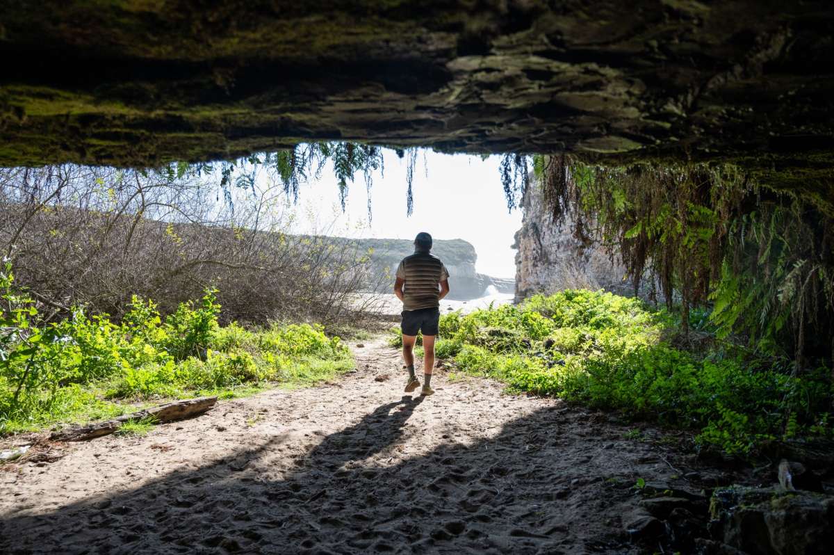 El Parque Estatal Wilder Ranch de Santa Cruz es el hogar de Fern Grotto Beach, que lleva el nombre de una cueva marina excavada en los acantilados de arenisca de la playa, justo debajo de un manantial subterráneo que riega una majestuosa cortina de helechos esmeralda que cuelgan sobre su entrada.