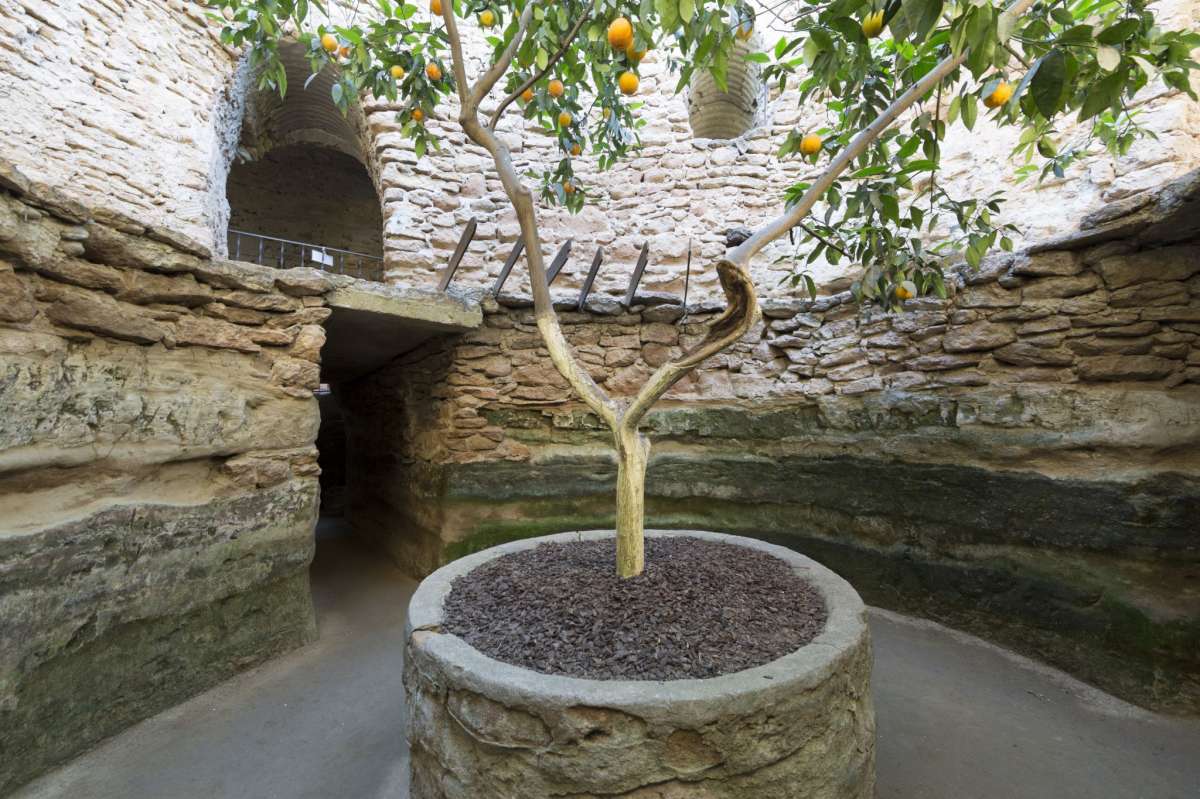 Los jardines subterráneos de Forestiere en Fresno. 