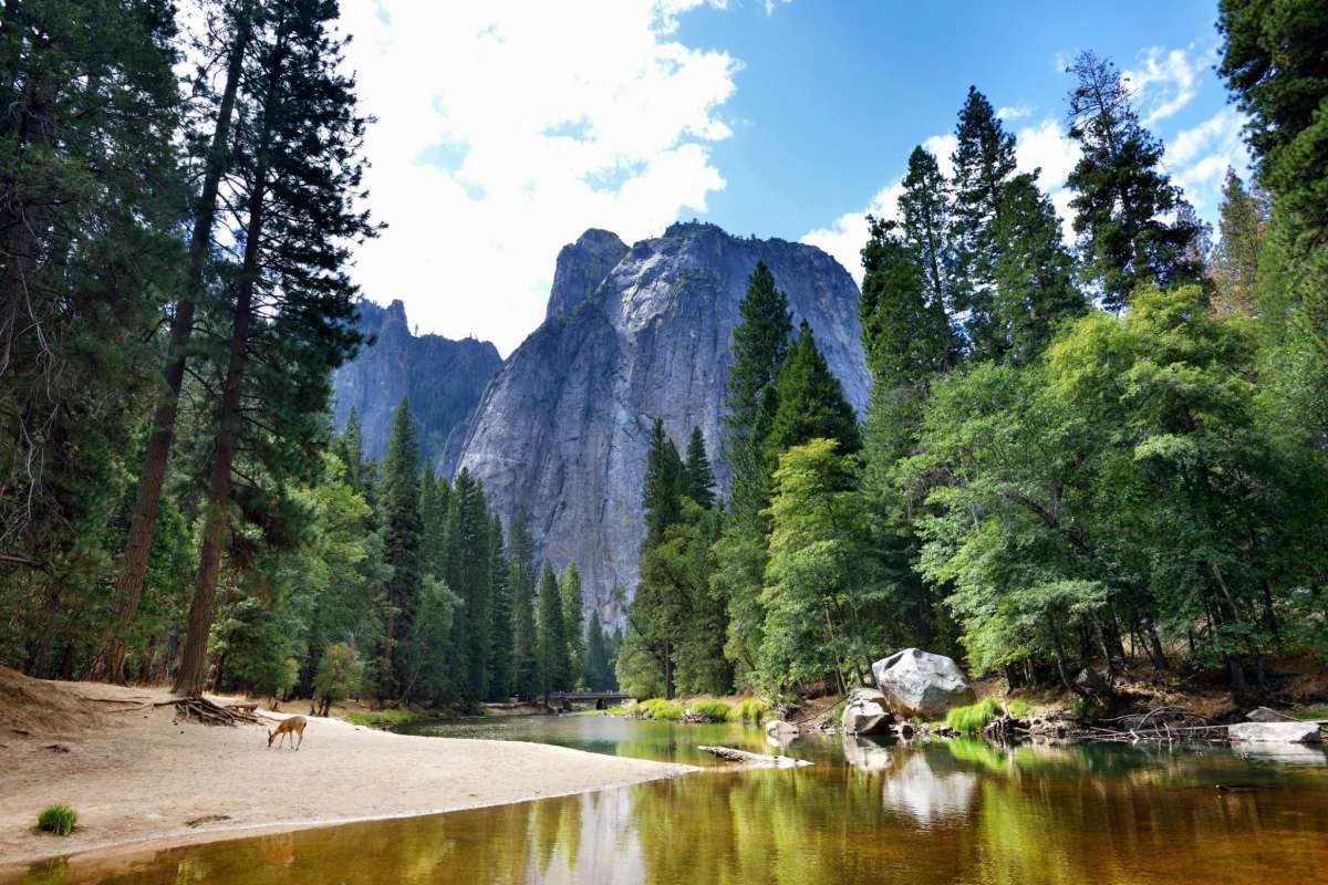 Una vista clásica del Parque Nacional Yosemite.