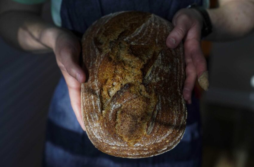  Este pan de masa madre Kernza utiliza un grano sabroso y respetuoso con el clima