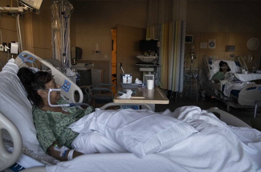  Los éxitos “siguen llegando”: los hospitales luchan por llenar las camas de COVID