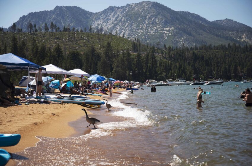  South Lake Tahoe es el lugar más popular de Zillow en 2021 en todo EE. UU.