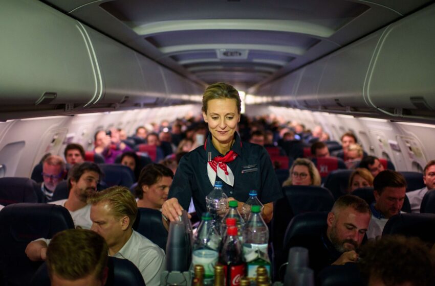  Un ex asistente de vuelo nos dijo cómo conseguir bebidas gratis en un vuelo.  Y funcionó.