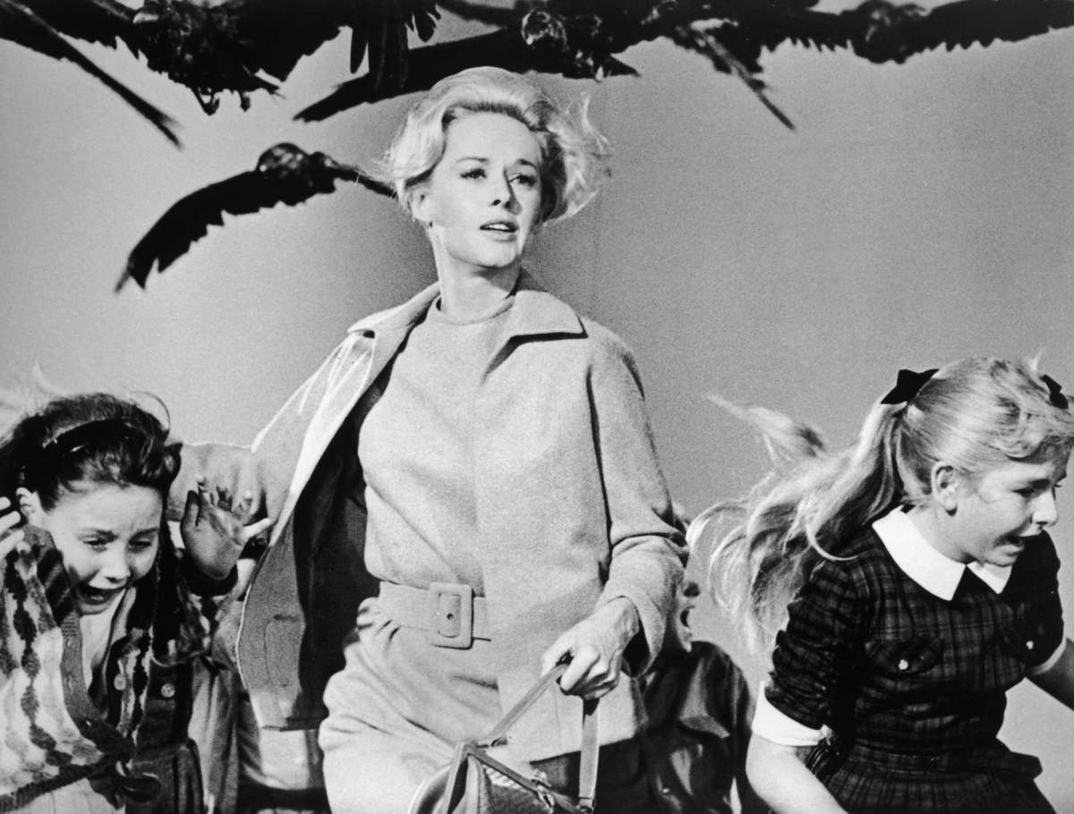 Tippi Hedren y un grupo de niños huyen de los cuervos atacantes en un fotograma de la película "Los pájaros", dirigida por Alfred Hitchcock. 