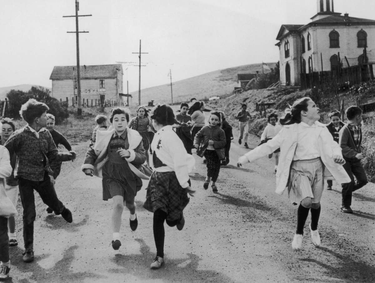 Un grupo de escolares huye de la amenaza aviar en una escena de "Los pájaros", dirigida por Alfred Hitchcock.