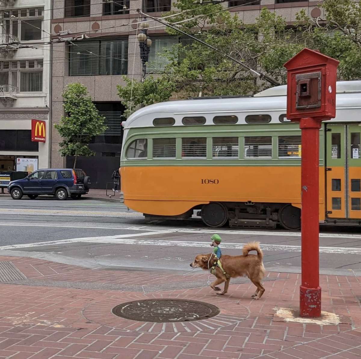 El fotógrafo Sage Akaboshi siempre tiene una cámara en la mano para capturar lo que ve en las calles de San Francisco. Comparte sus imágenes en su Instagram, @pueo_in_sf.