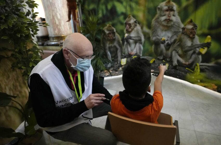  El negocio de los monos: El zoo de Amberes pone a los niños a salvo de la vacuna contra el virus