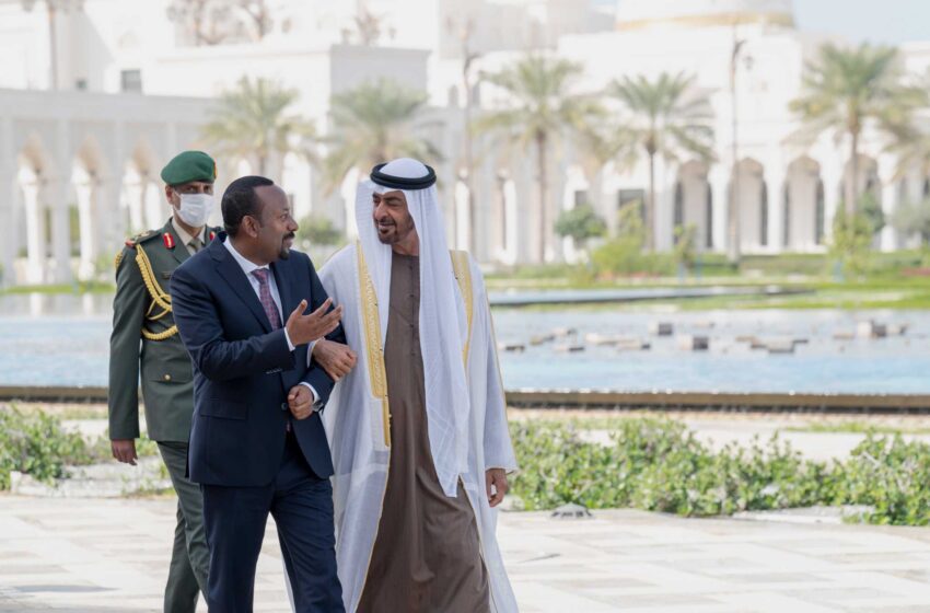  El primer ministro etíope en los Emiratos Árabes Unidos mientras la guerra de Tigray continúa