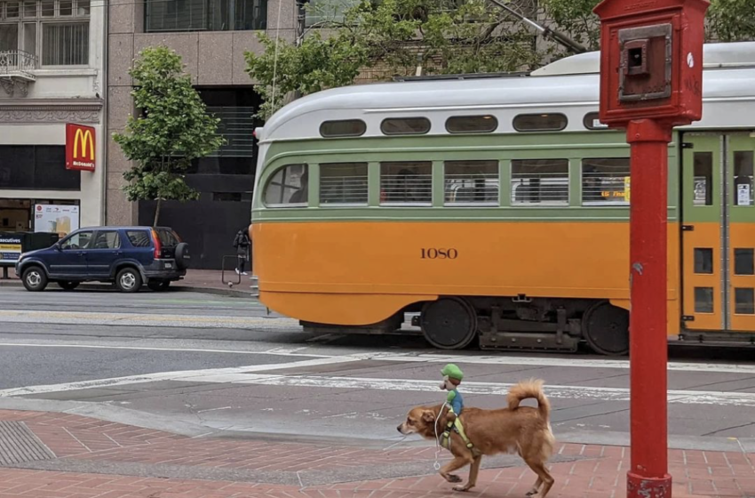  Fotógrafo captura un San Francisco tan peculiar como siempre