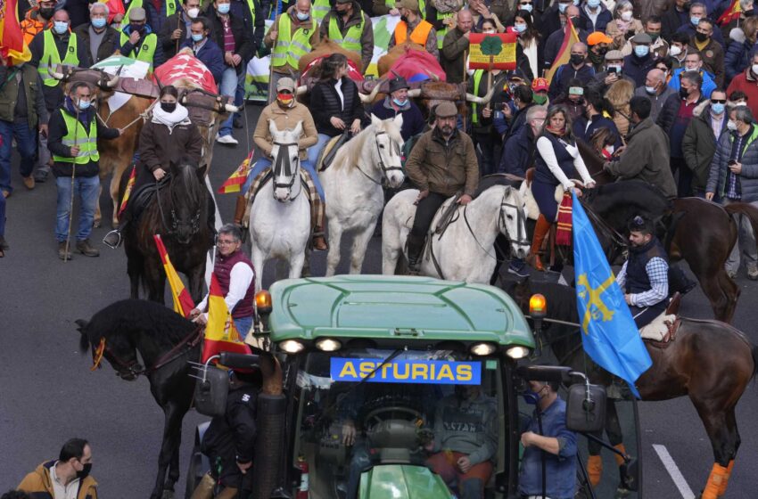  La protesta de los agricultores en España pone de manifiesto las preocupaciones rurales