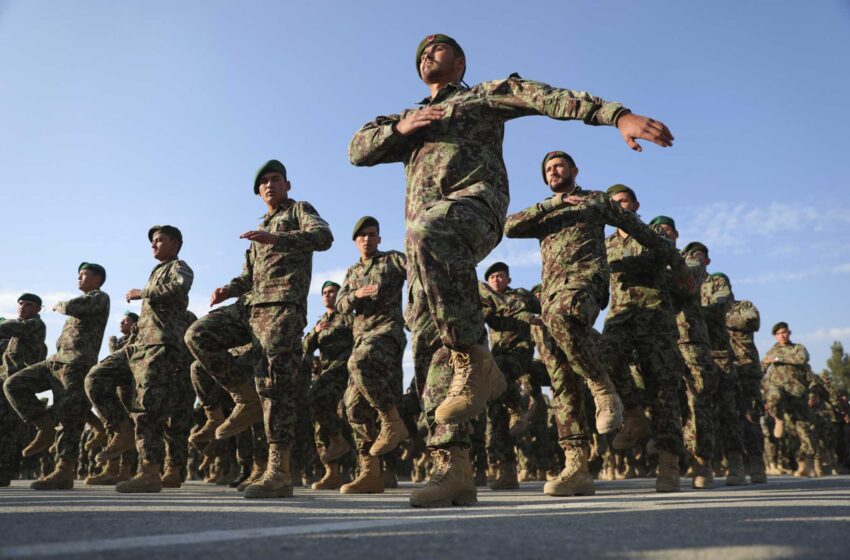  ONU: Más de 100 ex-fuerzas y oficiales afganos asesinados desde agosto