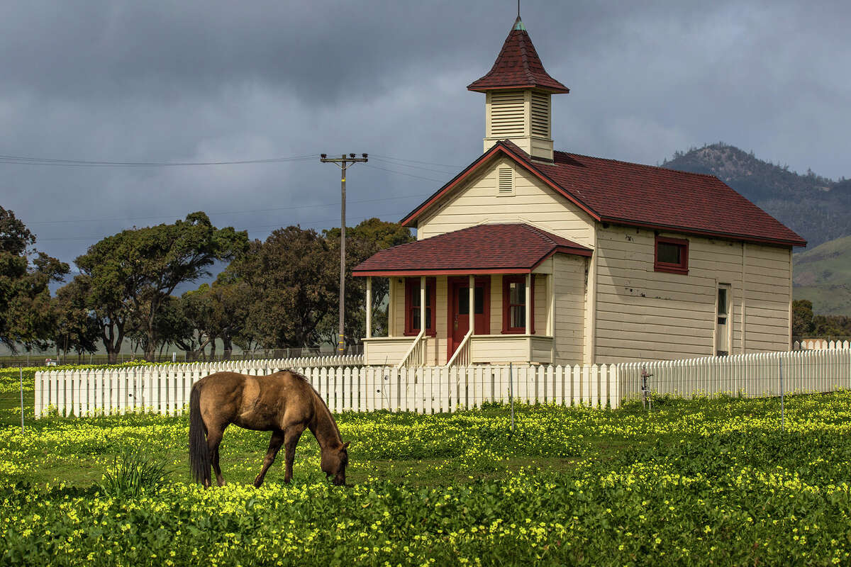 Un caballo pasta en una pradera en la antigua escuela de San Simeón, California. 