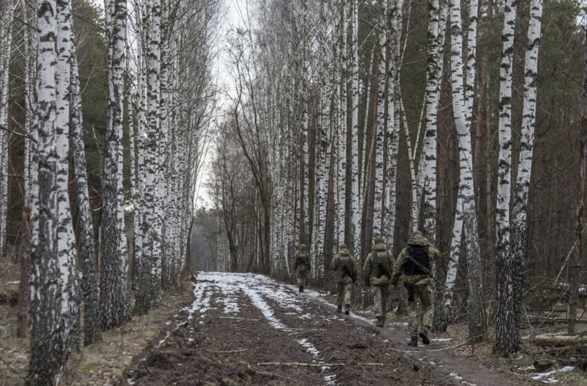  Crisis Ucrania-Rusia: Lo que hay que saber en la escalada de la crisis