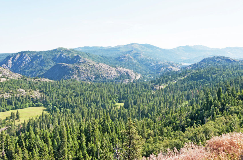  Desde Sierra Crest hasta pueblos mineros históricos, un nuevo sendero de 68 millas de largo se acerca a la realidad