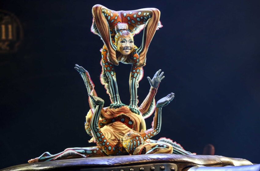  El Cirque du Soleil planea un nuevo e híbrido espectáculo en Las Vegas