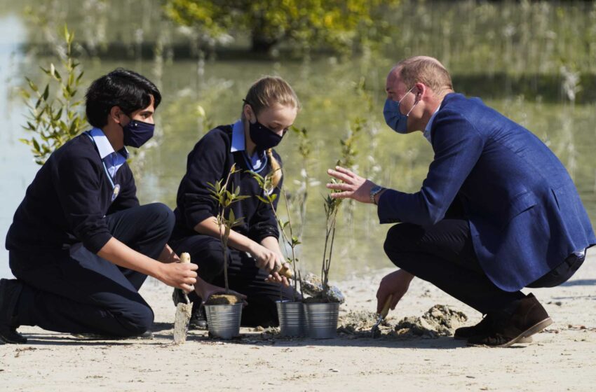  El Príncipe Guillermo se centra en la conservación durante su primer viaje a los EAU