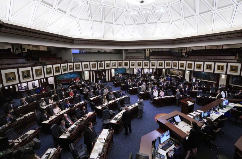  El proyecto de ley del Partido Republicano de Florida “No digas gay” avanza en la Cámara de Representantes
