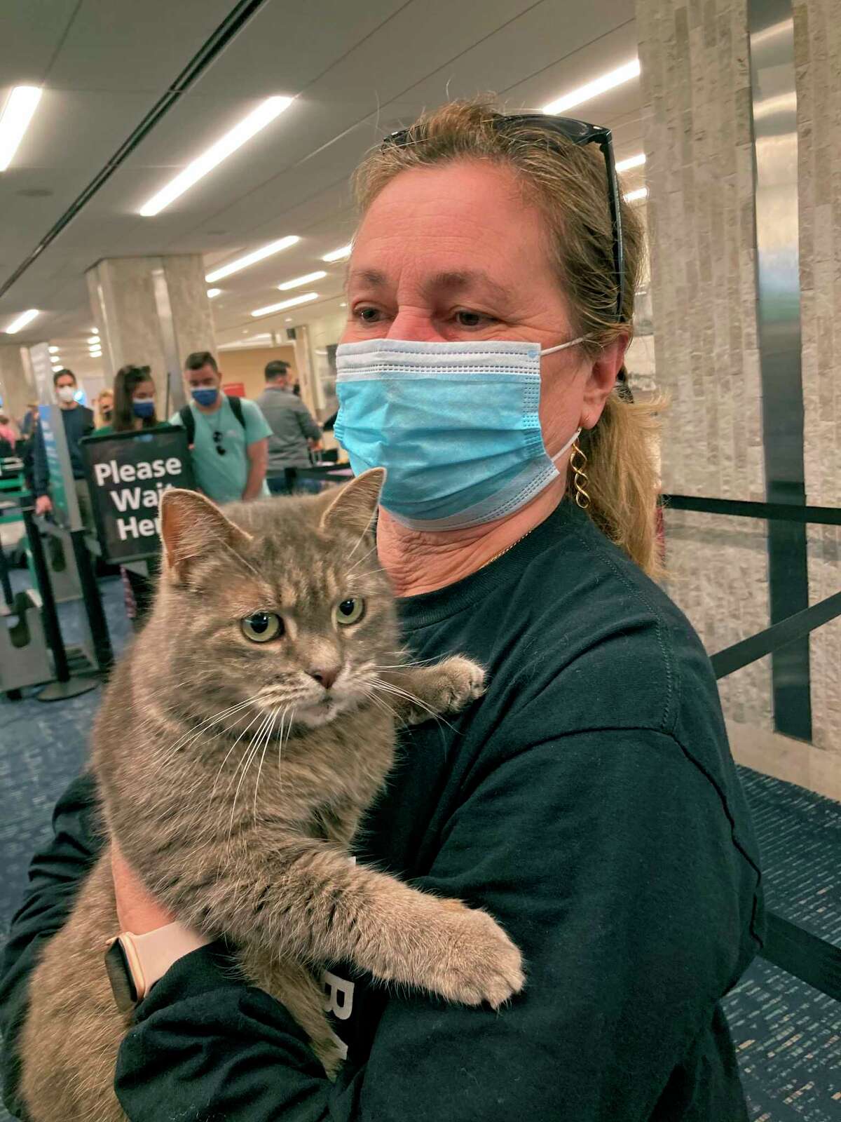 En esta foto proporcionada por Janet Williams, el gato "Ashes", que había sido perdido por una familia de Maine desde 2015, es sostenido por Williams en el Aeropuerto Internacional de Tampa, el miércoles 9 de febrero de 2022, en Tampa, Florida. Denise Cilley, de Chesterville, Maine, dice que se sorprendió al recibir un mensaje de voz la semana pasada anunciando que su gato, Ashes, había sido encontrado a casi 1,500 millas de distancia en Florida. Ashes será devuelto a Maine el miércoles, y Cilley tiene previsto estar presente para recoger a su mascota en el aeropuerto internacional de Portland. (Janet Williams vía AP)