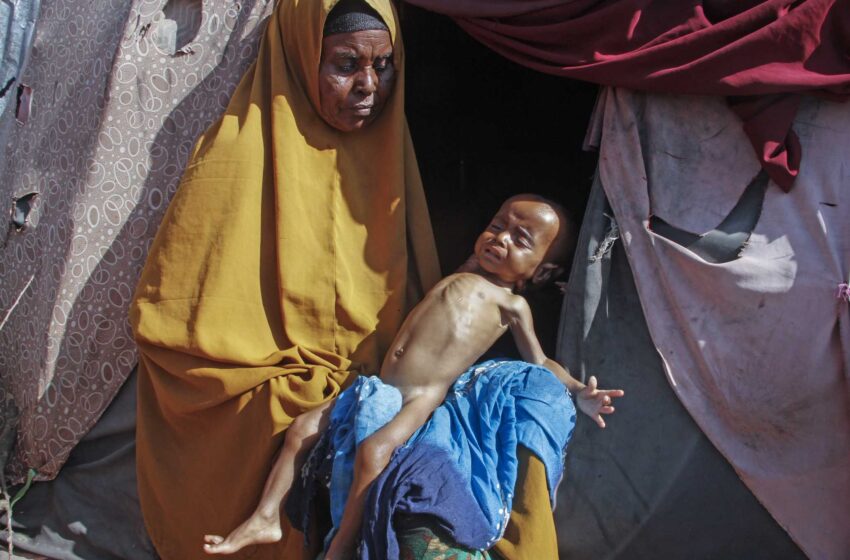  Huyendo de la sequía y el hambre, miles de personas se dirigen a la capital de Somalia