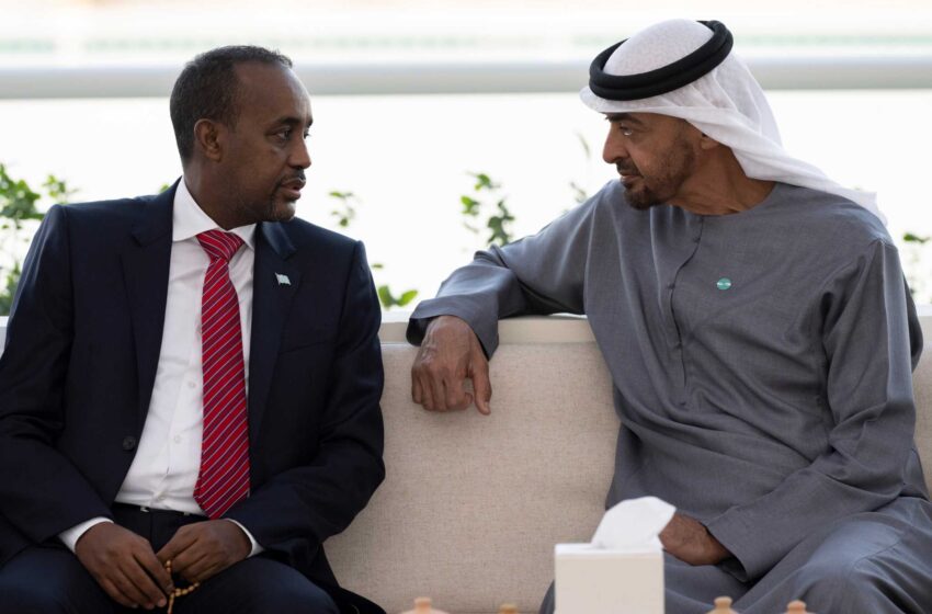  Los EAU acogen con satisfacción las disculpas de Somalia por el dinero incautado, lo que alivia la disputa