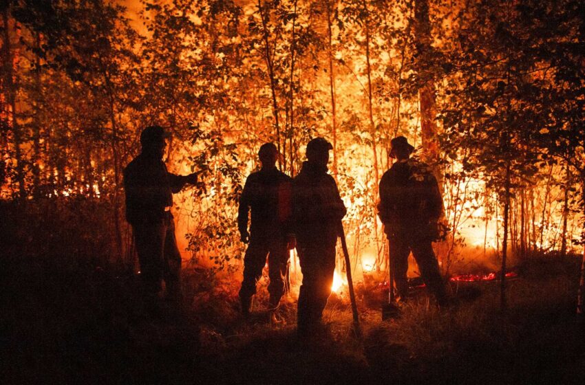 ONU: Los incendios forestales empeoran en todo el mundo y los gobiernos no están preparados