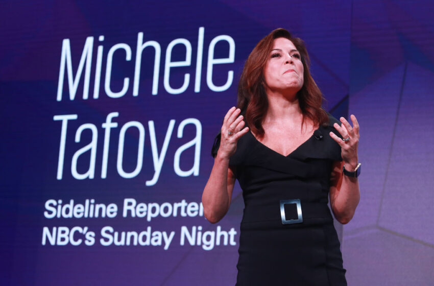  Por qué las ambiciones políticas de la ex reportera de la NFL Michele Tafoya no parecen prometedoras