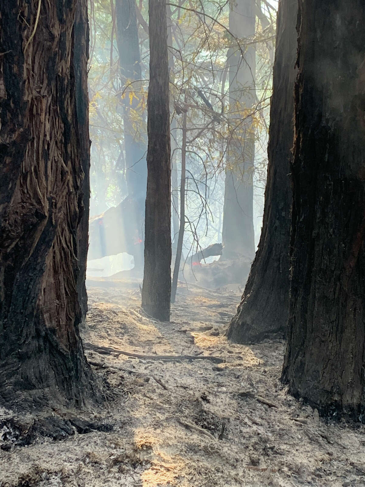 Un incendio forestal se desató en el condado de Marin al norte de Stinson Beach el 9 de febrero de 2022.