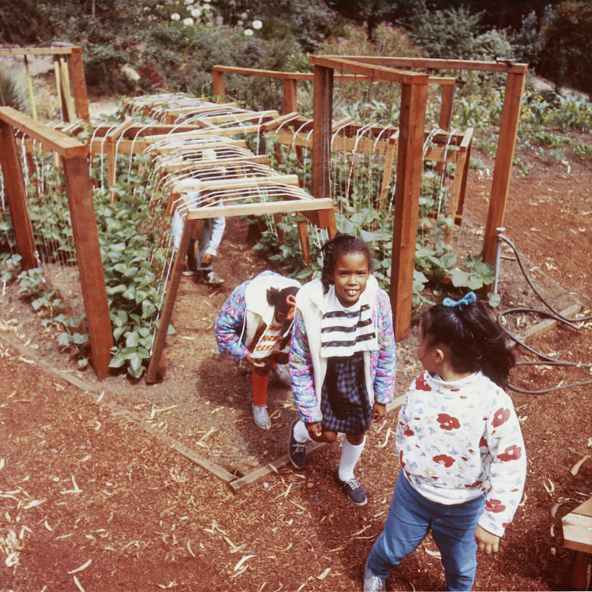 Excavando en el Children's Adventure Garden, 1971.