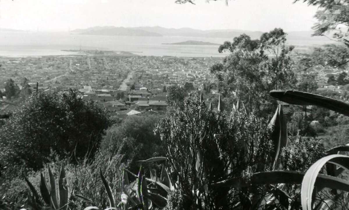 Mirando al oeste desde el jardín de flores cortadas, 1958.