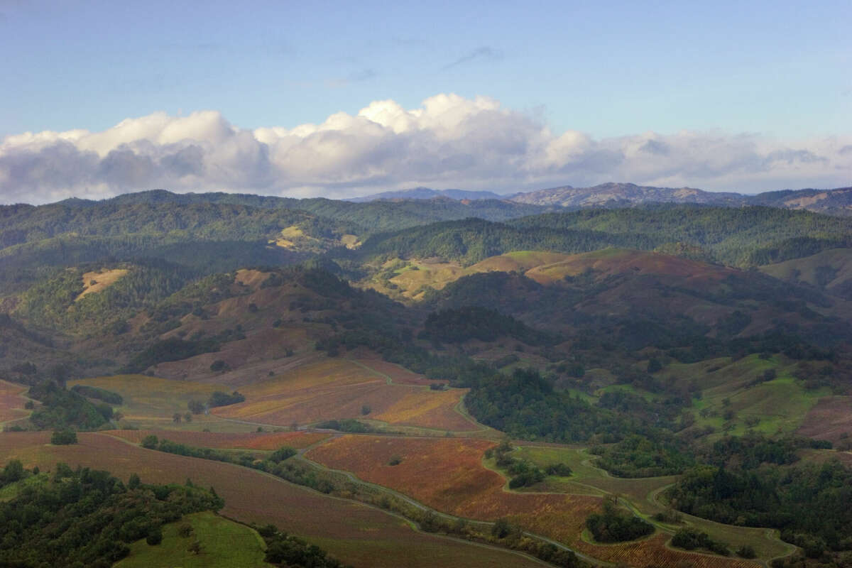 Una vista aérea de las colinas alrededor de Santa Rosa. 