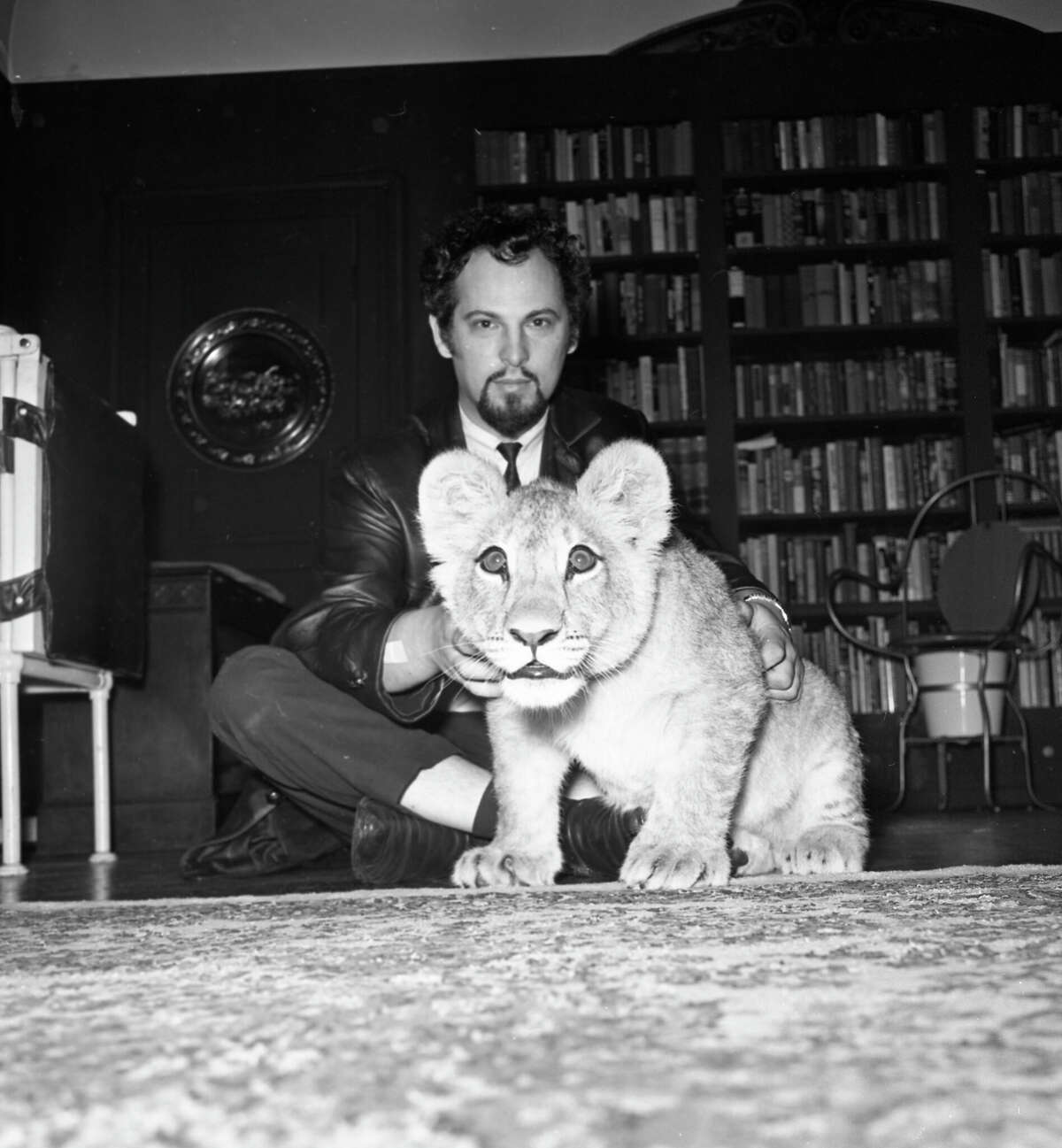 Anton LaVey, fundador y autoproclamado sumo sacerdote de la Iglesia de Satanás, es fotografiado en su casa en San Francisco con su león mascota el 26 de junio de 1964. 