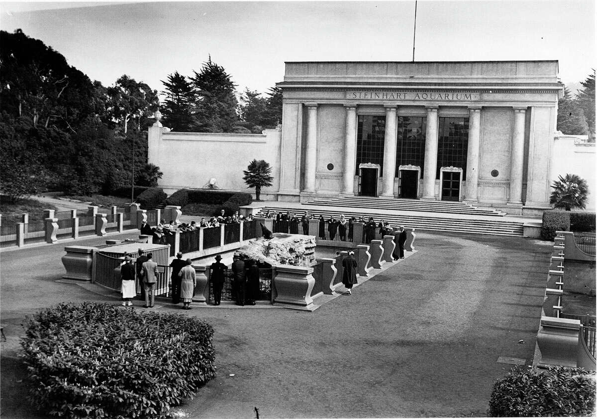 Los visitantes observan la fosa de focas fuera del Acuario Steinhart poco después de su apertura en 1923.