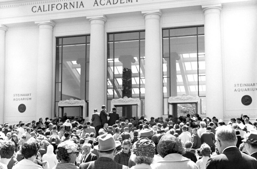  El Acuario Steinhart de San Francisco fue el proyecto apasionante de dos hermanos que nunca vivieron para verlo abierto