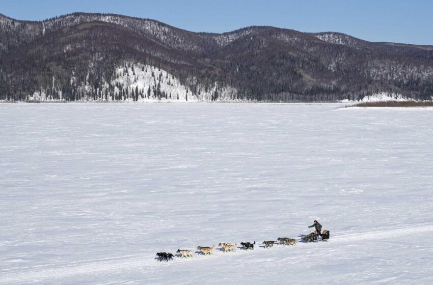  El líder de la Iditarod rechaza la comida gourmet para seguir haciendo mushing