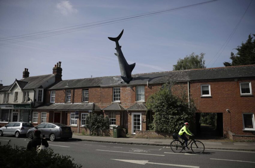  El propietario de la Casa de los Tiburones del Reino Unido está consternado por haber obtenido el estatuto de protección