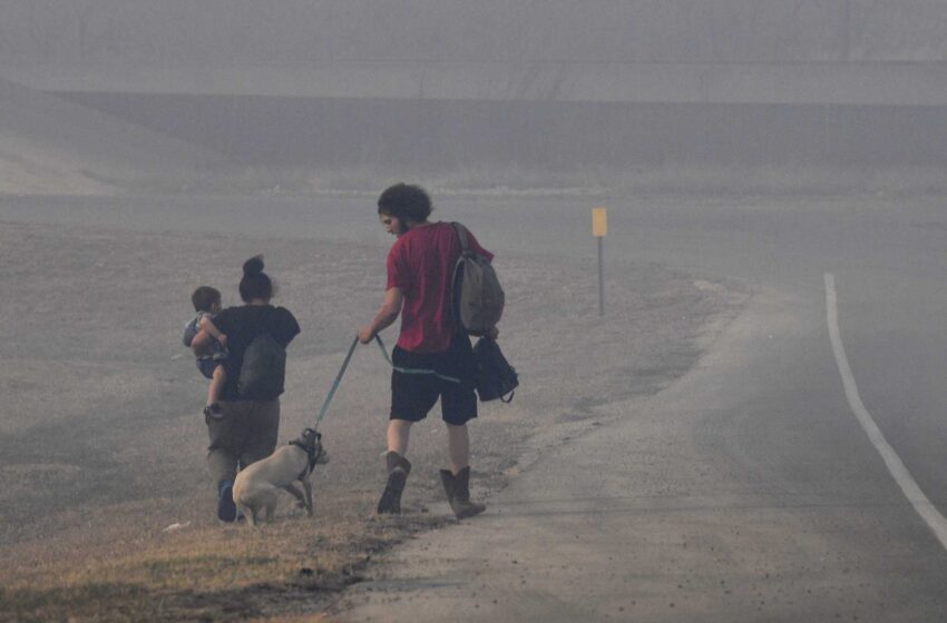  Los incendios forestales calcinan el oeste de Texas, provocando evacuaciones