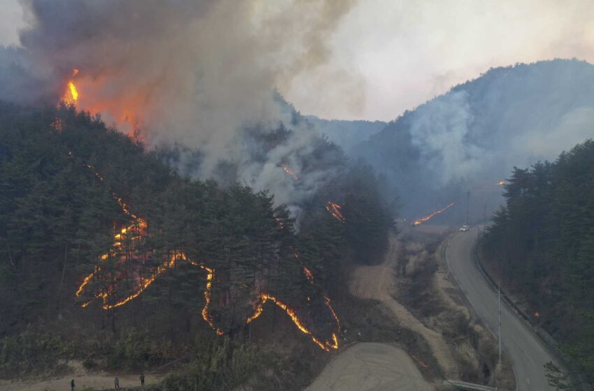  S. Un incendio forestal en Corea del Sur destruye 90 casas y obliga a huir a 6.000 personas
