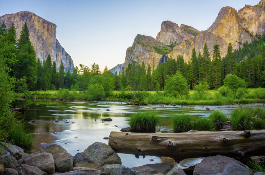  Sin corazón”: Un grupo de residentes de casas móviles se ven obligados a abandonar repentinamente Yosemite