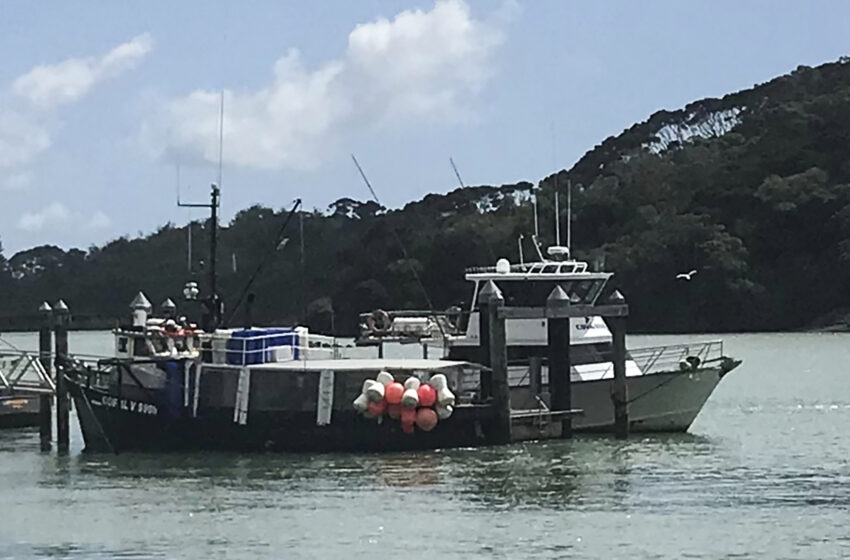  Un barco pesquero se hunde en una tormenta en Nueva Zelanda, 4 muertos y 1 desaparecido