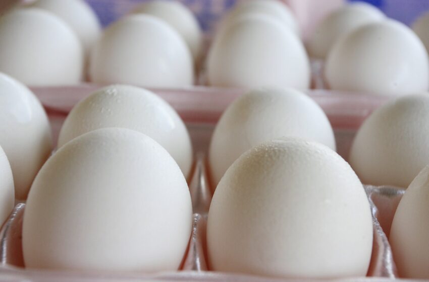  La cadena de supermercados con sede en California Smart & Final supuestamente aumentó el precio de los huevos cuando golpeó la pandemia;  debe pagar $ 175,000