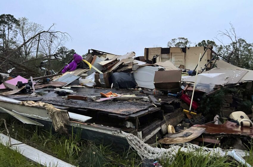  Los residentes limpian los árboles y evalúan los daños de las tormentas del sur