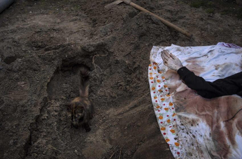  Más de 900 civiles muertos en los alrededores de Kiev, Rusia promete nuevos ataques