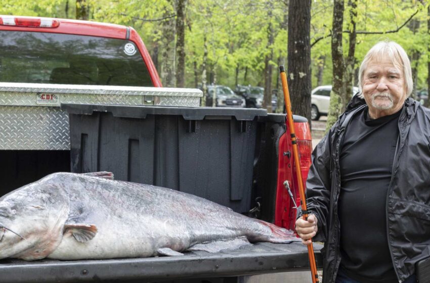  Un hombre de Mississippi pesca un siluro de 131 libras y establece un récord estatal