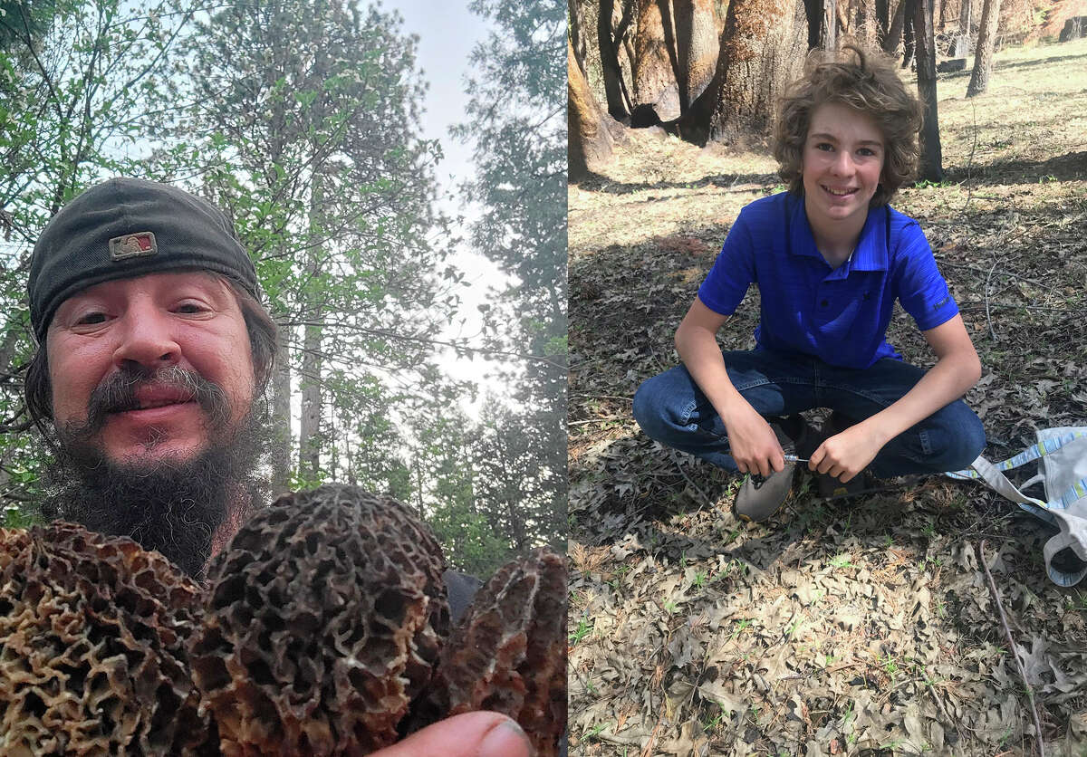 A la izquierda, Gabe Bridges sostiene puñados de colmenillas saladas. Ha buscado en Sierra Nevada durante casi 30 años. A la derecha, el hijo de Alison Stanton, Milo, suele acompañar a su madre durante la temporada de búsqueda de hongos. 