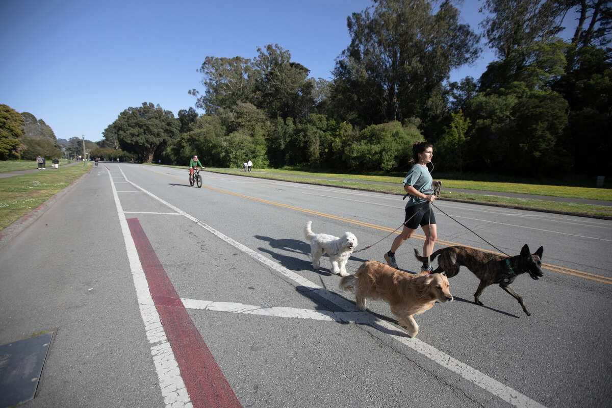 Una mujer trota con perros en una parte de la sección de 1.5 millas de JFK Drive que ahora está permanentemente libre de automóviles en el Golden Gate Park en San Francisco el 17 de mayo de 2022.