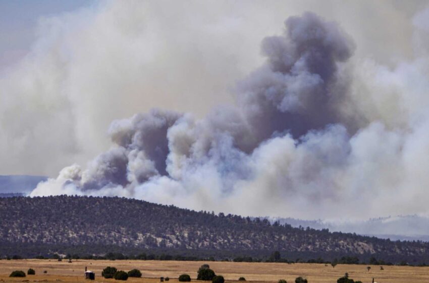  Los equipos de bomberos se acercan al enorme incendio forestal de Nuevo México