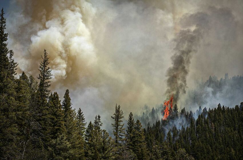  Servicio Forestal de los Estados Unidos: Las quemas prescritas iniciaron un incendio masivo