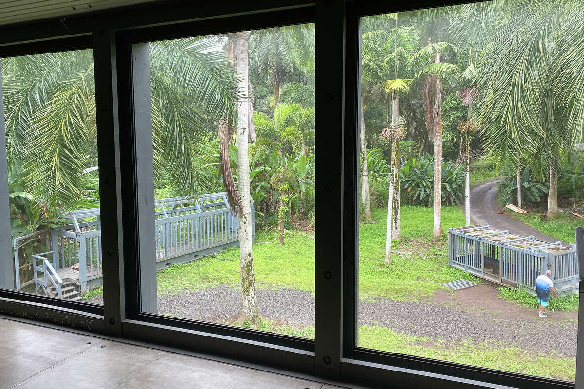 Dentro del paddock de Indominus Rex, desde la sala de observación de arriba. 