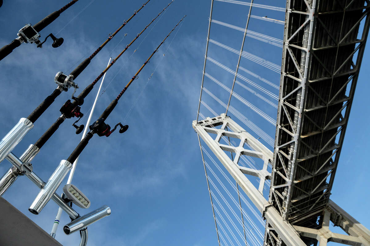 El Gatherer II, ataviado con todo su equipo de pesca, pasa por debajo del puente de la bahía de San Francisco en ruta hacia el primer lugar de pesca el jueves 26 de mayo de 2022. 